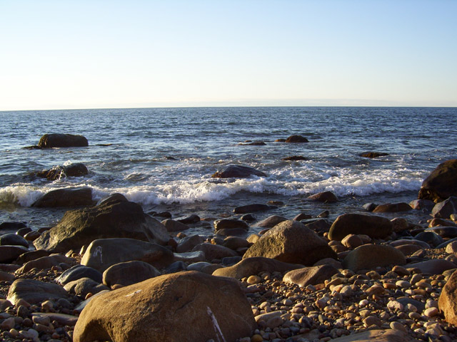 Browns, View of the Water