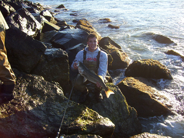 Healthy Striper