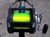 Daiwa 900h shark fishing reel