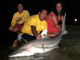 Blacktip Shark South Padre Island Texas