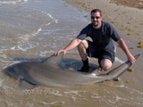 Paul with large bull shark at South Padre Island Texas