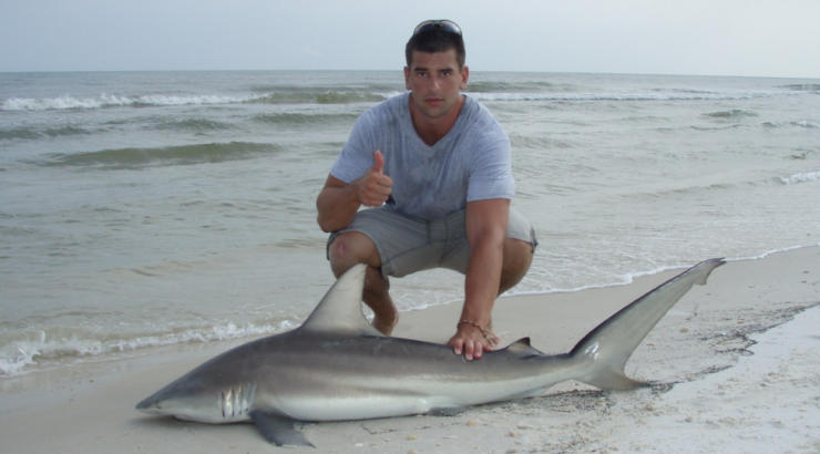 Florida Shark