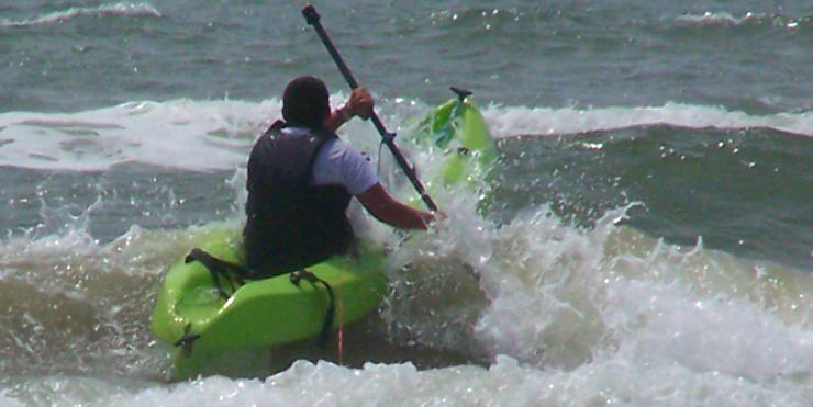 Kayaking With Sharks